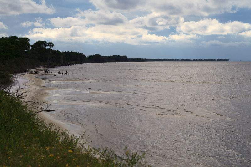 Pine Beach Trail through Bon Secour NWR